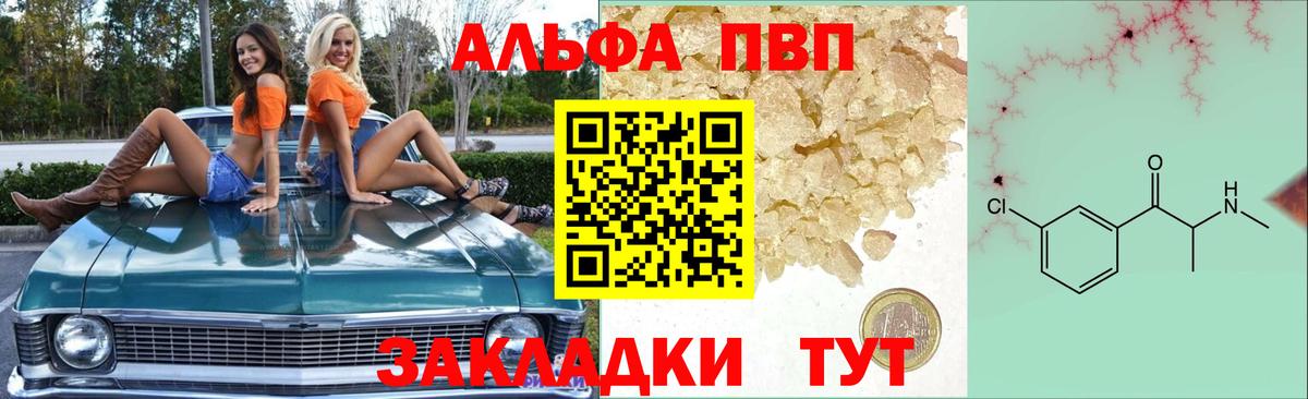 Alfa_PVP СК Ейск
